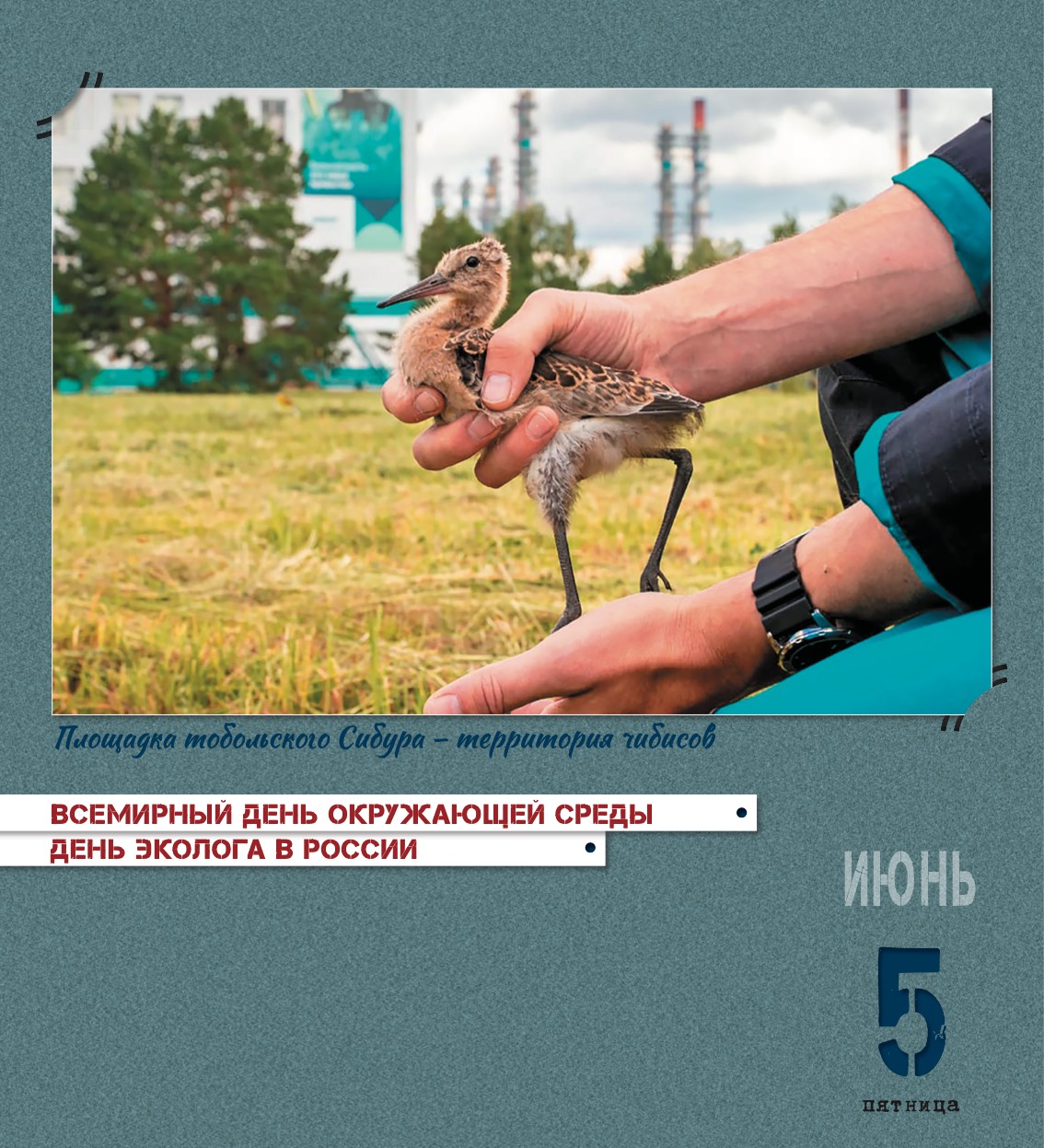 kalendar_2026-158.jpg