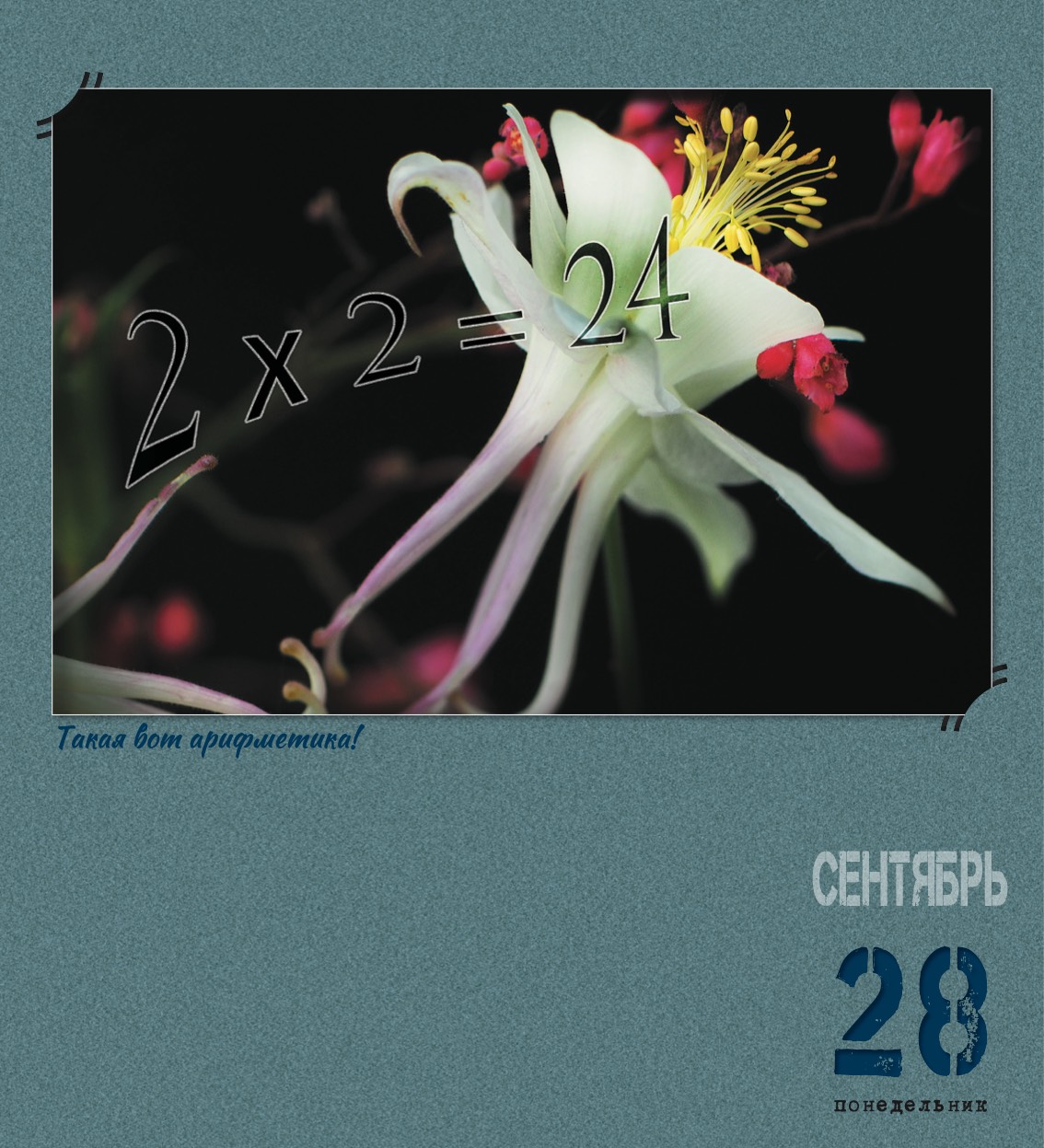 kalendar_2026-273.jpg